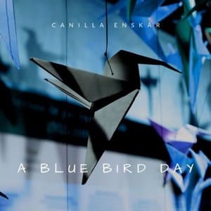 A Blue Bird Day