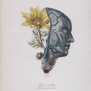 Cette Mer Qui Est en Toi