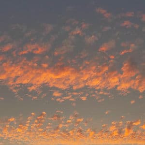 collected live works one