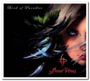Bird Of Paradise