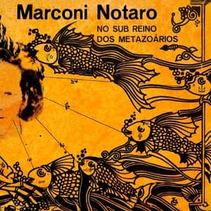 No Sub Reino dos Metazoarios