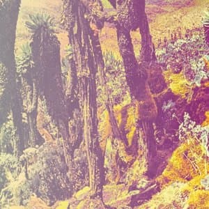 Assemblee, Relache, Rejouissance, Parade