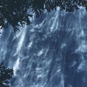 Gathering on the Grass