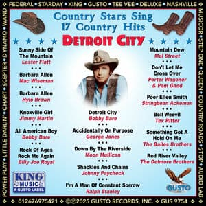 Detroit City - Country Stars Sing 17 Country Hits