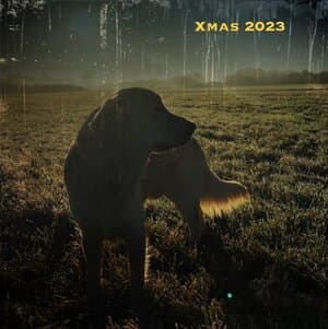 The Legendary Pink Dots Christmas Special 2023 - The Legendary Pink Dots Christmas Special 2023