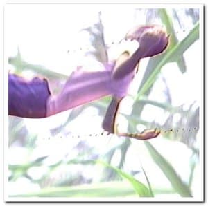 New York City 1980-1984