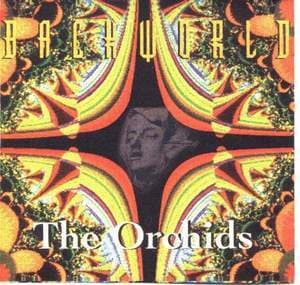 The Orchids