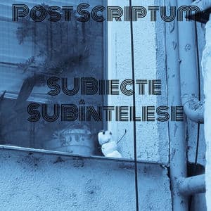 Subiecte Subintelese