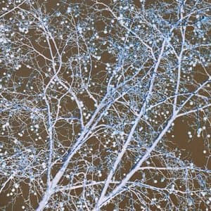 OBJECT OF DESIRE 004