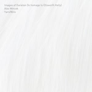 Images of Duration (In homage to Ellsworth Kelly)