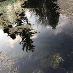 Canvas Homes + Supplementaires