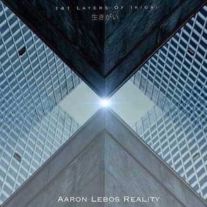 141 Layers Of Ikigai