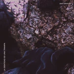 La Identidad Es una Trampa