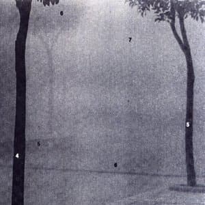 Something is missing