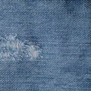 A Filament In The Wilderness Of What Comes Next