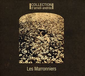 Les Marronniers