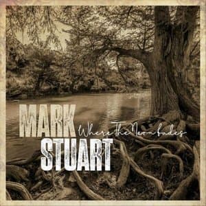 Where the Neon Fades