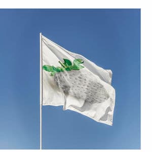 la fraise à même le jus