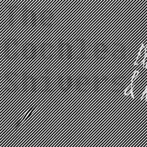 Bruitish (Excess, Accents & Accidents)