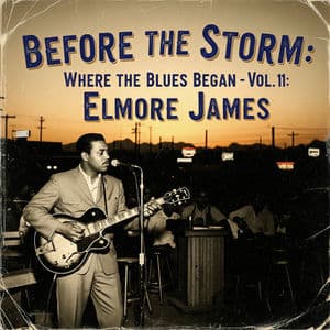 Before the Storm: Where the Blues Began - Vol. 11