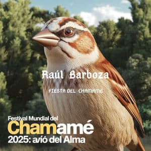 Raúl Barboza en Avio del Alma: Fiesta Nacional del Chamamé 2025 (En Vivo)