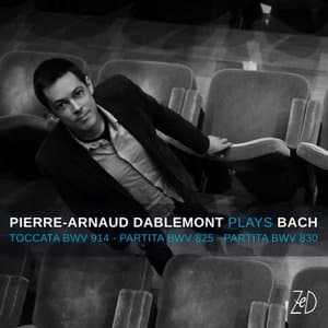 Pierre-Arnaud Dablemont: Plays Bach
