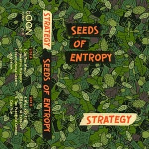 Seeds of Entropy
