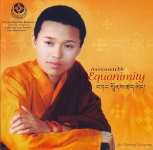 Immeasurable Equanimity