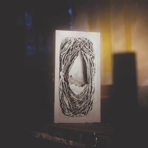 Terrain a mire . Une maison retive . Contrainte par le toit