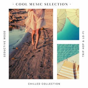 Cool Music Selection - Seductive Mood Trip Hop & Lo-fi Chilled Collection