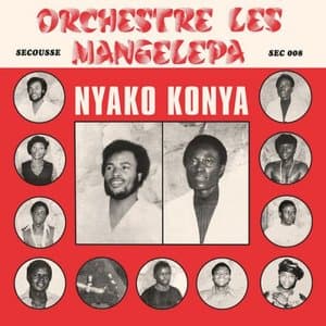 Nyako Konya