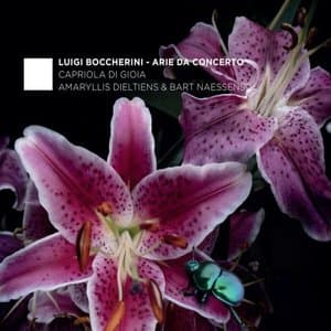 Boccherini: Arie da Concerto