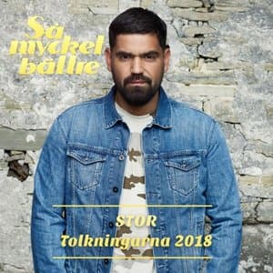 Sa mycket battre 2018 - Tolkningarna