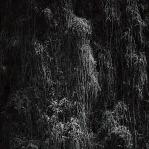 It Doesnt Matter If Theyre Guilty