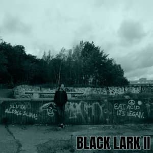 Black Lark II
