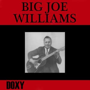 Big Joe Williams
