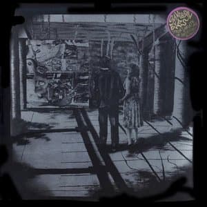 Four Variations on Artificial Society