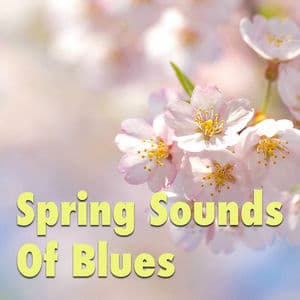 Spring Sounds Of Blues