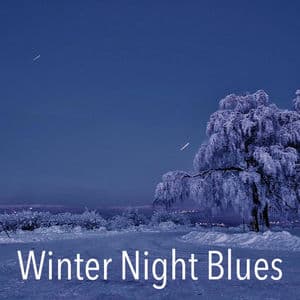 Winter Night Blues