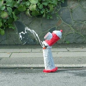 A Big Warm Welcome to Kjjfauefsyu