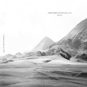 Grounding Loops Vol. 2 & 3
