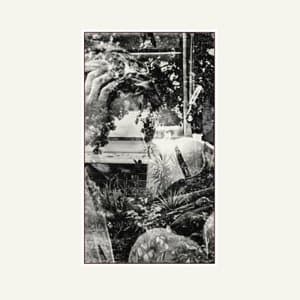 One Thousand Lonely Places