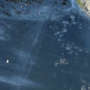 Live Feed From Disko Bay