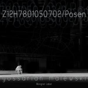 Z12H7801050702/Posen