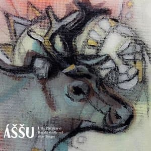 Assu (feat. Ulla Pirttijarvi, Harald Skullerud, Olav Torget)