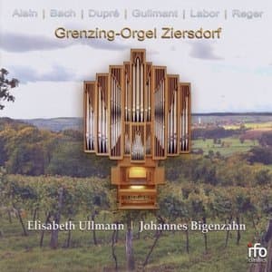 Grenzing-Orgel Ziersdorf (Organ Works by Alain, Bach, Dupre, Guilmant, Labor & Reger)