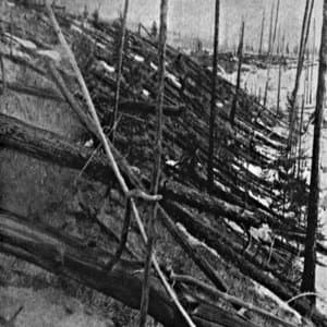 Charred Remains of Tunguska
