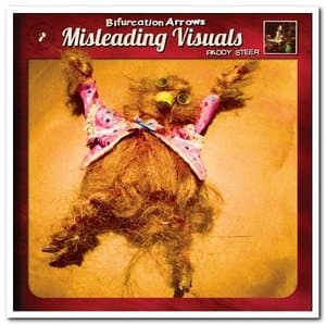 Bifurcation Arrows Misleading Visuals