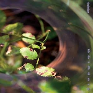 Back Then I Didnt But Now I Do