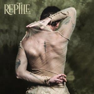 Reptile